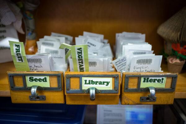 Washington Park Library - Seed Library
