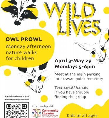 Owl Prowl with Wild Lives