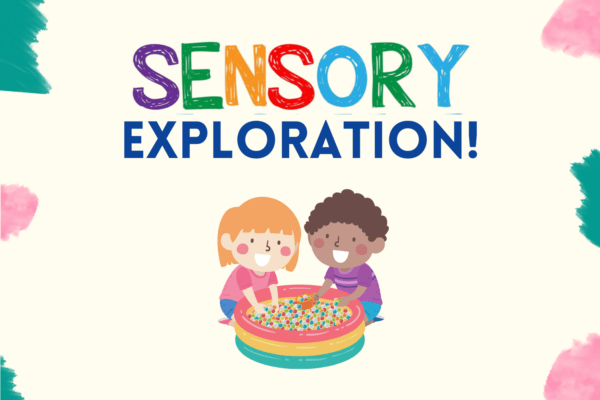 MTP Sensory Exploration