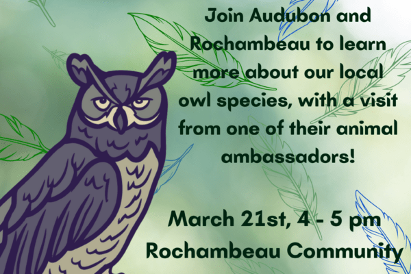 “Owls of Rhode Island” Presentation