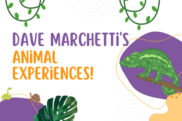 Dave Marchetti's Animal Experiences