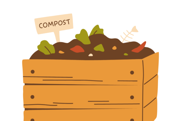 compost image(1)