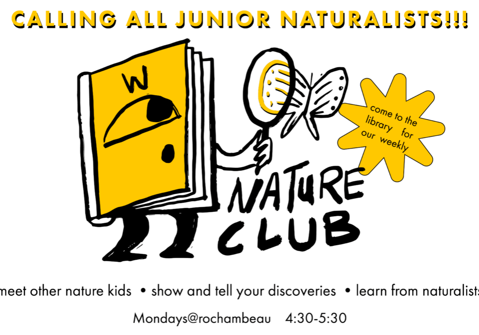 Roche Nature Club 3-2